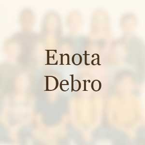 Enota DEBRO
