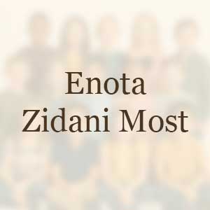 Enota Zidani Most